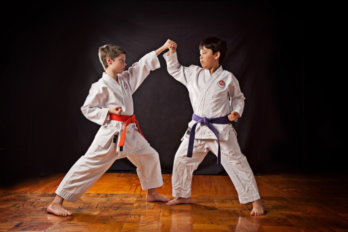 Tips for Karate Sparring - Martial Arts Guy